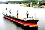 Bulk carrier