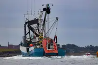 101 FT HERRING PURSE SEINER